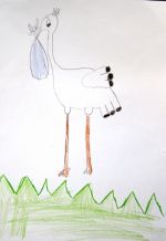 Holeščák Marek 2.jpg